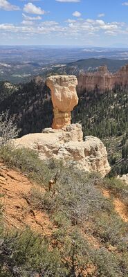 20260904_133948.jpg