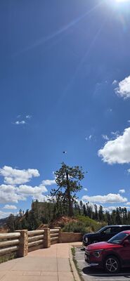 20260904_134402.jpg