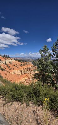 20260904_134552.jpg