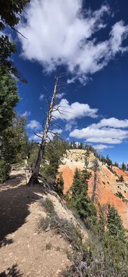 20260904_134727.jpg