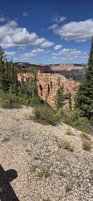 20260904_135640.jpg