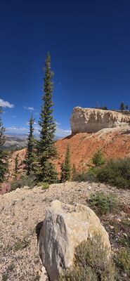 20260904_135801.jpg