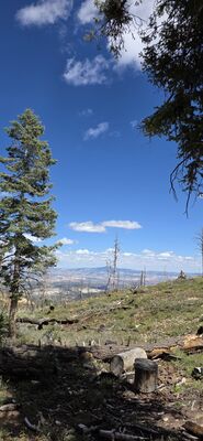 20260904_141545.jpg