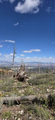20260904_141636.jpg