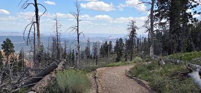 20260904_141839.jpg
