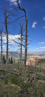 20260904_141931.jpg
