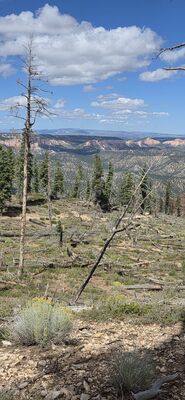 20260904_142020.jpg