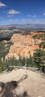 20260904_142744.jpg