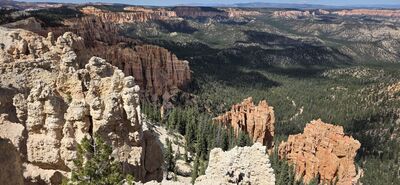20260904_143054.jpg
