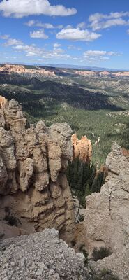 20260904_143312.jpg