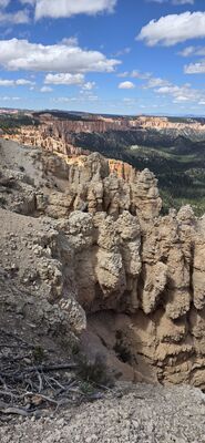 20260904_143315.jpg