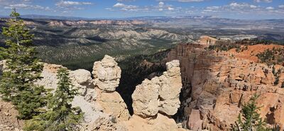 20260904_143453.jpg