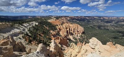 20260904_143603.jpg