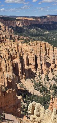 20260904_143617.jpg