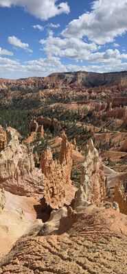 20260904_154140.jpg