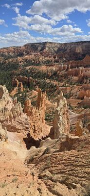 20260904_154224.jpg