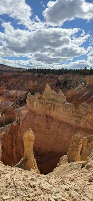 20260904_154818.jpg
