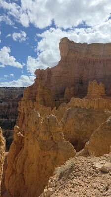 20260904_155348.jpg