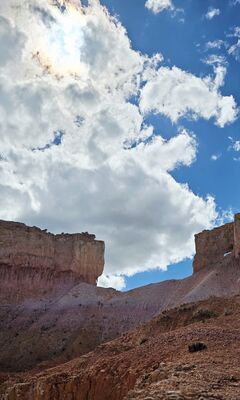 20260904_155430(1).jpg