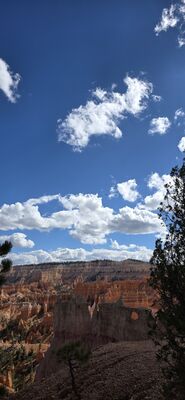 20260904_160251.jpg