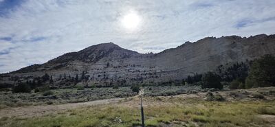 20260905_094708.jpg