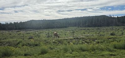 20260905_095610(0).jpg