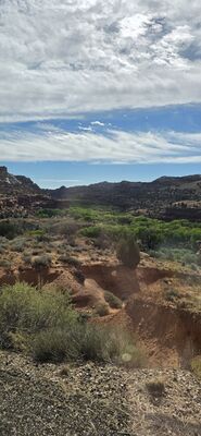 20260905_103310.jpg