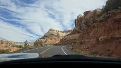 20260905_103518.jpg