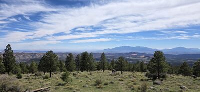 20260905_113010.jpg