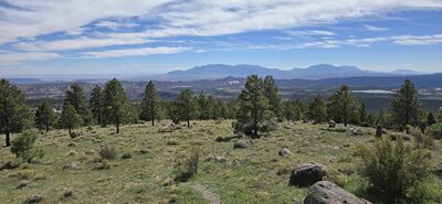 20260905_113020.jpg