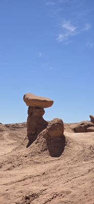 20260905_134221.jpg