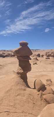 20260905_134417.jpg
