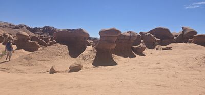 20260905_135112.jpg