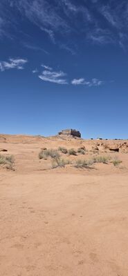 20260905_135714.jpg