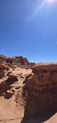 20260905_140354.jpg