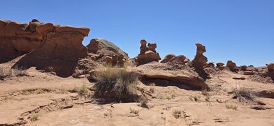 20260905_140903.jpg