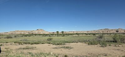20260905_161956.jpg