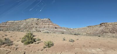 20260905_162348.jpg