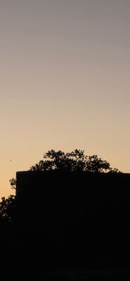 20260905_200327.jpg