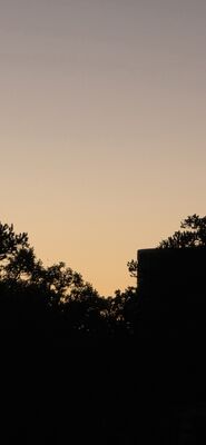 20260905_200329.jpg
