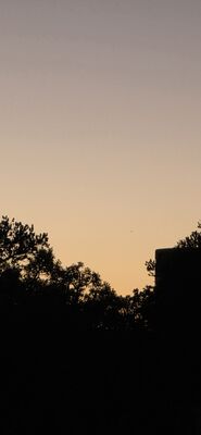 20260905_200330.jpg