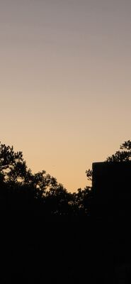 20260905_200332.jpg