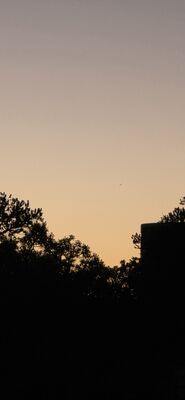 20260905_200333.jpg