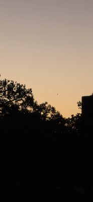 20260905_200337.jpg