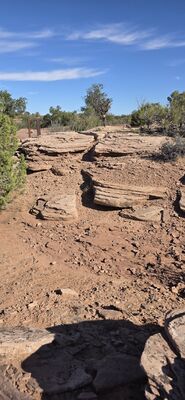 20260906_094406.jpg