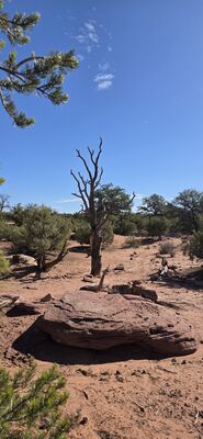 20260906_095153.jpg