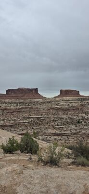 20260906_131700.jpg
