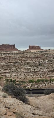 20260906_131750.jpg