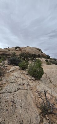 20260906_131759.jpg