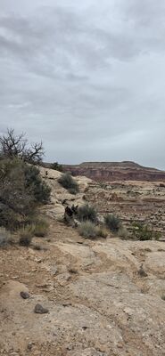 20260906_131910.jpg
